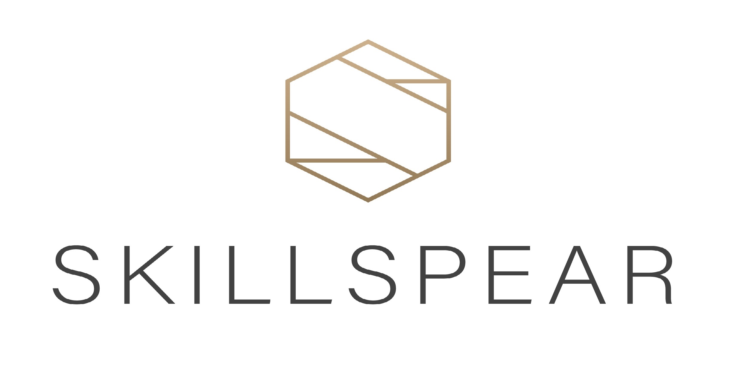 Skillspear
